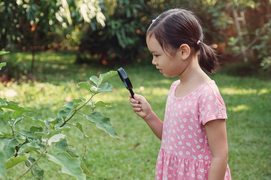 little girl investigating plant